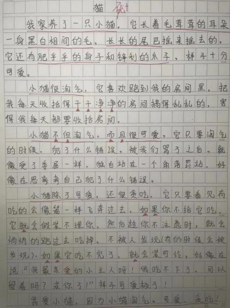 小猫作文怎么写_写小猫的作文技巧-第1张图片-星辰妙记 小猫作文怎么写_写小猫的作文技巧-第1张图片-星辰妙记