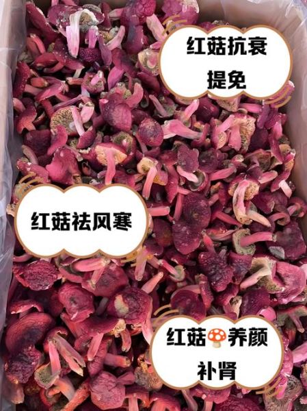 孕妇能吃红菇吗_红菇对孕妇的好处-第1张图片-星辰妙记