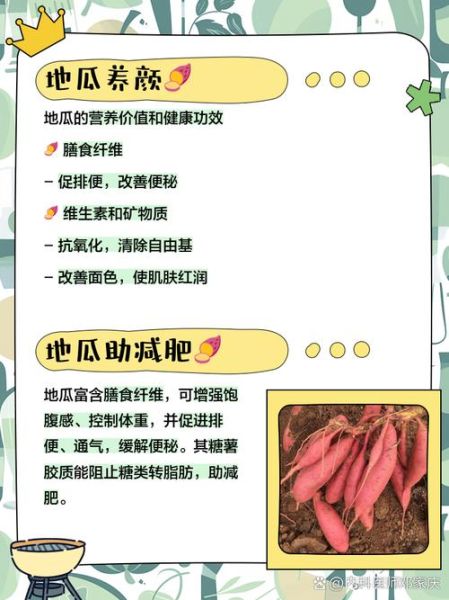 孕妇可以吃地瓜吗_孕期吃地瓜的好处与禁忌-第1张图片-星辰妙记