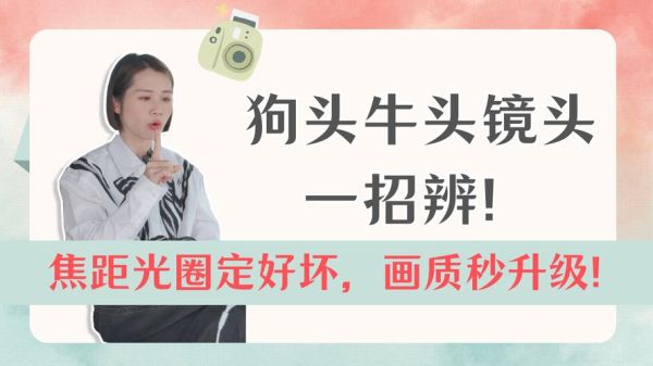 牛头镜头是什么意思_牛头镜头和狗头镜头区别-第1张图片-星辰妙记