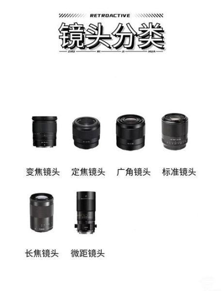 微镜头怎么拍_微距镜头选购指南-第2张图片-星辰妙记