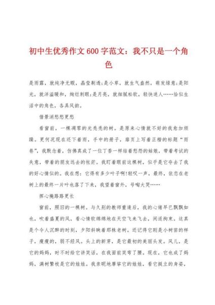 初中优秀作文600字怎么写_如何写出高分记叙文-第2张图片-星辰妙记 初中优秀作文600字怎么写_如何写出高分记叙文-第2张图片-星辰妙记