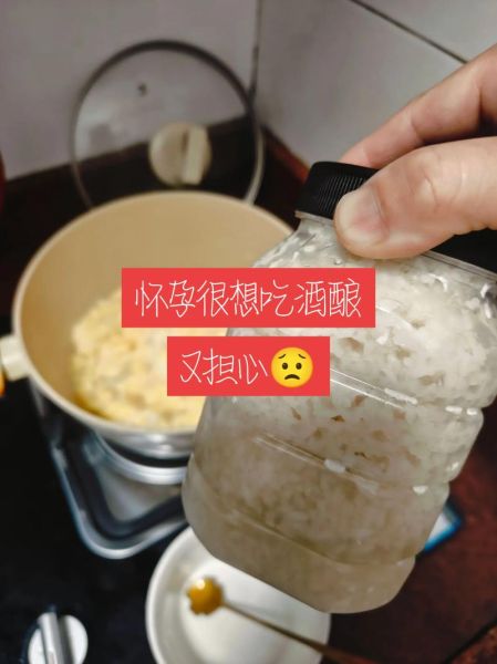 孕妇可以吃醪糟吗_醪糟对胎儿的影响-第3张图片-星辰妙记