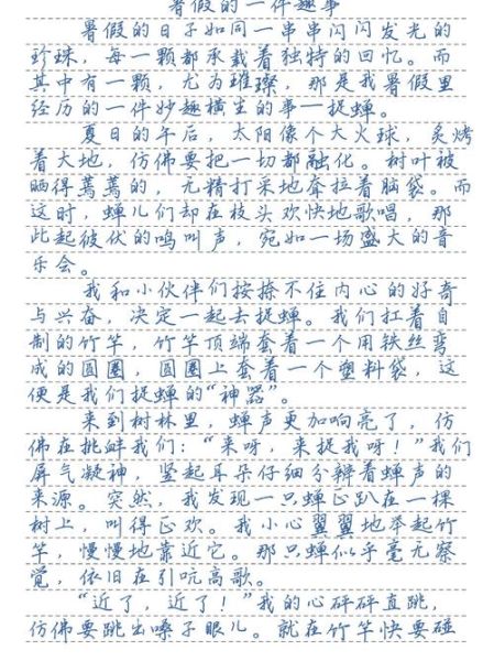 暑假趣事作文怎么写_600字范文如何扩写到800字-第1张图片-星辰妙记 暑假趣事作文怎么写_600字范文如何扩写到800字-第1张图片-星辰妙记