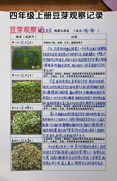 四年级上册第三单元作文怎么写_观察植物日记怎么写-第1张图片-星辰妙记