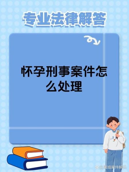 孕妇风波怎么处理_孕妇风波法律责任-第3张图片-星辰妙记