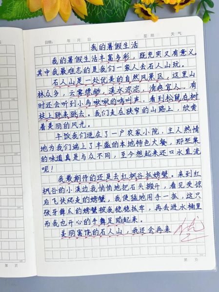 暑假生活作文怎么写_暑假生活作文开头怎么写-第2张图片-星辰妙记