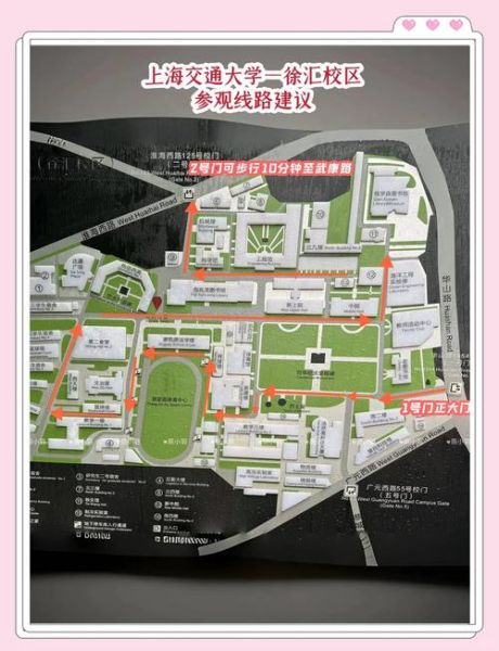 上海师范大学地址在哪里_徐汇与奉贤校区交通全攻略-第1张图片-星辰妙记