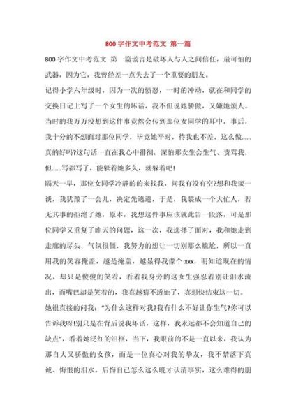 中考作文怎么写_中考作文800字范文-第1张图片-星辰妙记
