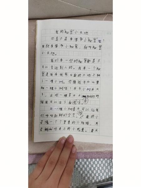 我的小秘密作文怎么写_小学生写作技巧-第1张图片-星辰妙记
