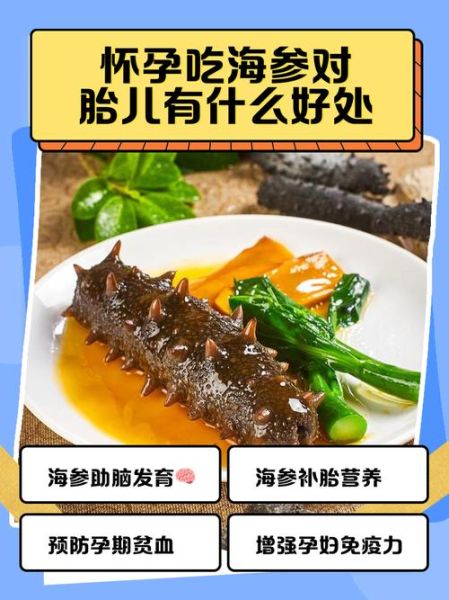 孕妇能吃海参吗_海参对胎儿的好处-第1张图片-星辰妙记