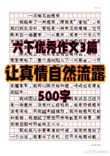 六年级第五单元作文怎么写_如何写出真情实感-第2张图片-星辰妙记