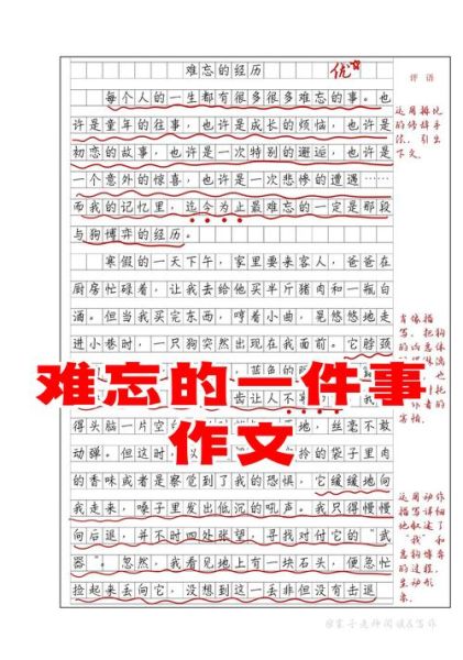 一件难忘的事作文怎么写_一件难忘的事作文开头怎么写-第1张图片-星辰妙记