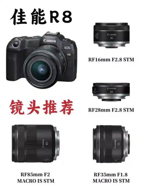 顶级单反镜头怎么选_全画幅镜头推荐-第2张图片-星辰妙记