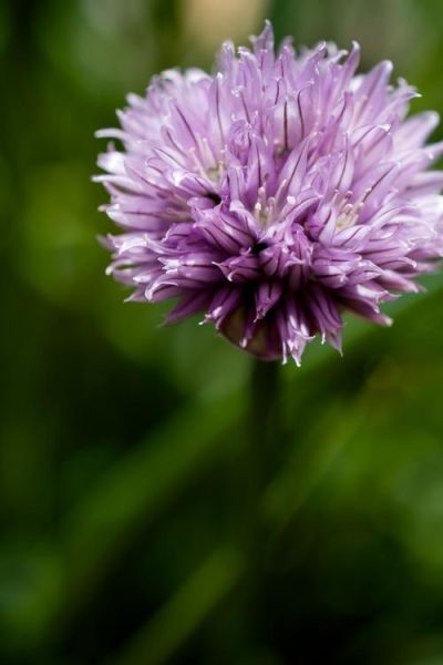 莱卡镜头样片画质如何_莱卡镜头适合拍什么题材-第3张图片-星辰妙记