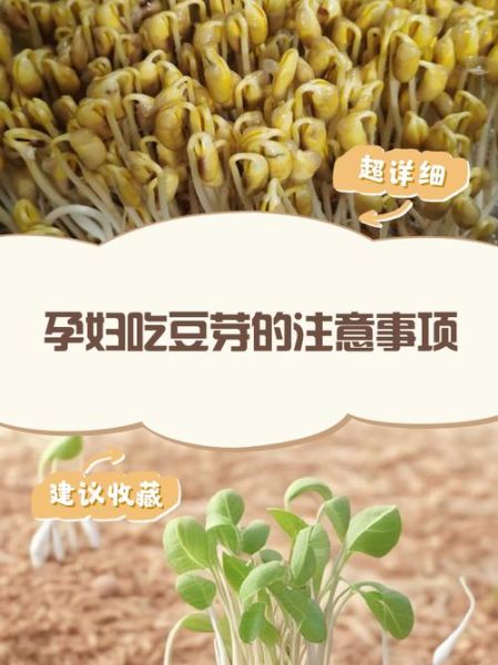 孕妇可以吃豆芽吗_孕妇吃豆芽注意事项-第1张图片-星辰妙记