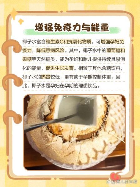 孕妇可以喝椰子汁吗_孕妇喝椰子汁的好处与禁忌-第3张图片-星辰妙记