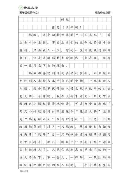致蚂蚁的信怎么写_作文素材有哪些-第3张图片-星辰妙记