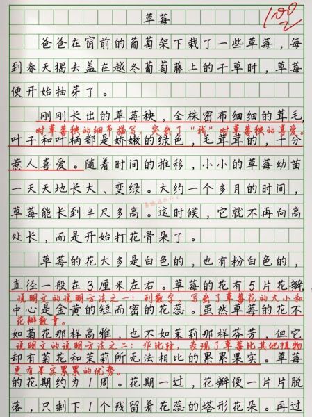 小学生如何写观察植物的作文_观察植物作文怎么写-第2张图片-星辰妙记 小学生如何写观察植物的作文_观察植物作文怎么写-第2张图片-星辰妙记