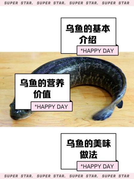 孕妇可以吃乌鱼吗_乌鱼汤对胎儿好吗-第2张图片-星辰妙记 孕妇可以吃乌鱼吗_乌鱼汤对胎儿好吗-第2张图片-星辰妙记