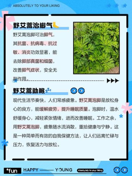 孕妇能用艾叶吗_艾叶泡脚对孕妇的好处与禁忌-第3张图片-星辰妙记 孕妇能用艾叶吗_艾叶泡脚对孕妇的好处与禁忌-第3张图片-星辰妙记