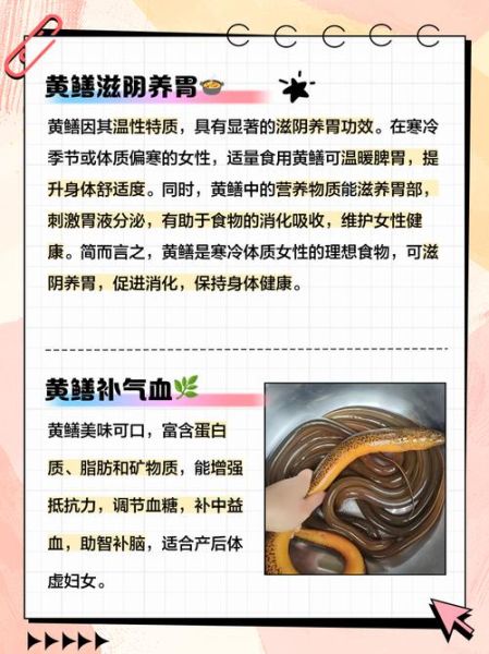孕妇能吃黄鳝吗_孕期吃黄鳝注意事项-第1张图片-星辰妙记 孕妇能吃黄鳝吗_孕期吃黄鳝注意事项-第1张图片-星辰妙记
