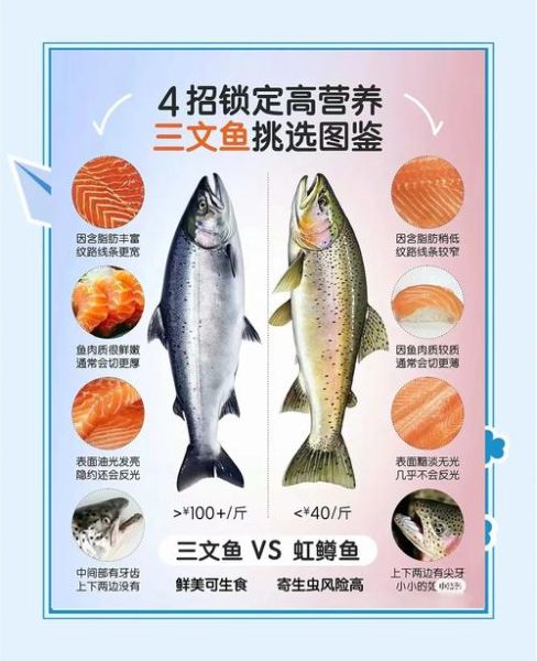 孕妇可以吃三文鱼吗_三文鱼孕妇每周吃几次-第1张图片-星辰妙记