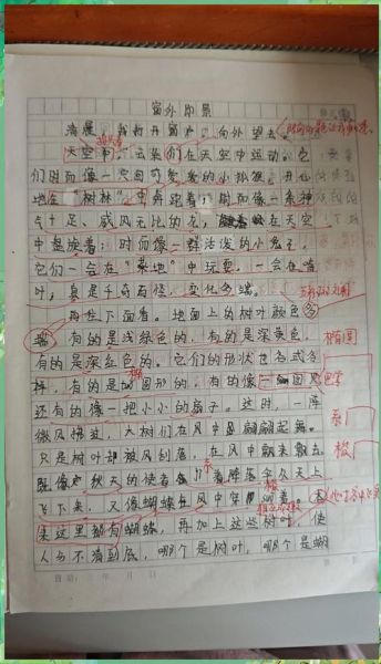 网里网外作文怎么写_网里网外作文素材哪里找-第2张图片-星辰妙记