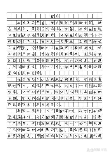 网里网外作文怎么写_网里网外作文素材哪里找-第1张图片-星辰妙记