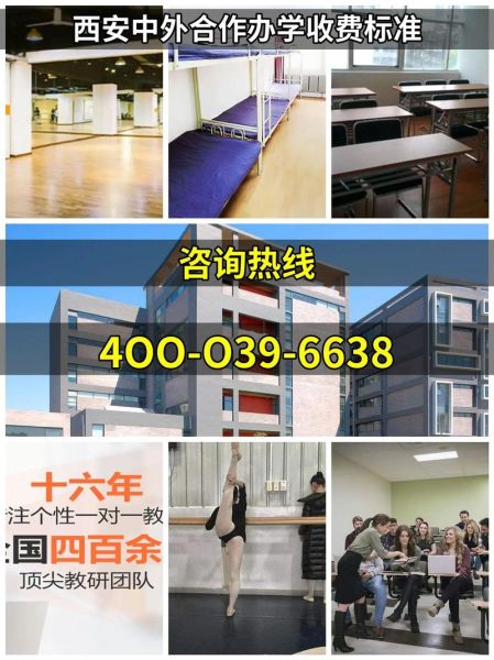 西安电子科技大学中外合作办学怎么样_学费多少-第2张图片-星辰妙记