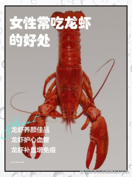 孕妇能吃龙虾吗_孕妇吃龙虾的注意事项-第3张图片-星辰妙记 孕妇能吃龙虾吗_孕妇吃龙虾的注意事项-第3张图片-星辰妙记
