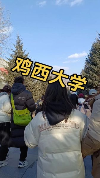 鸡西大学怎么样_鸡西大学专业有哪些-第1张图片-星辰妙记