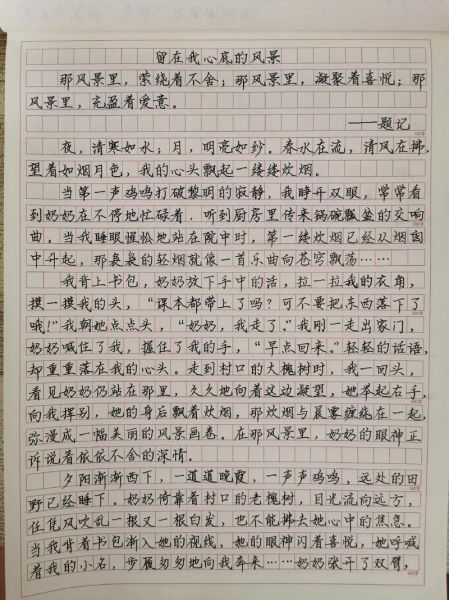 记叙文怎么写_优秀作文600字范例-第3张图片-星辰妙记