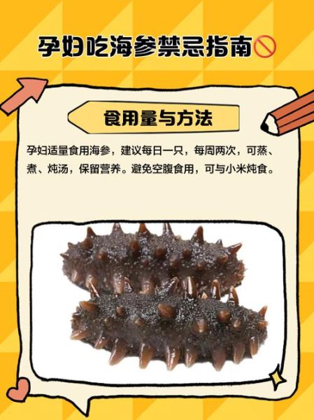 孕妇可以吃海参吗_怀孕吃海参的好处与禁忌-第1张图片-星辰妙记