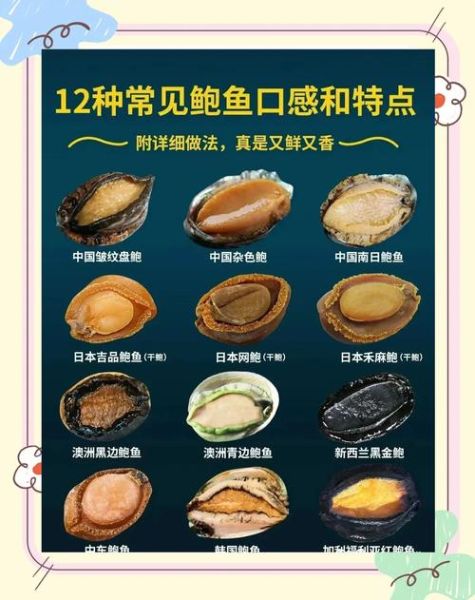 孕妇可以吃鲍鱼吗_孕期吃鲍鱼注意事项-第1张图片-星辰妙记