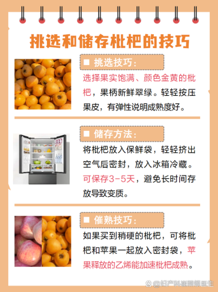 孕妇可以空腹吃枇杷吗_枇杷对孕妇的利弊-第1张图片-星辰妙记