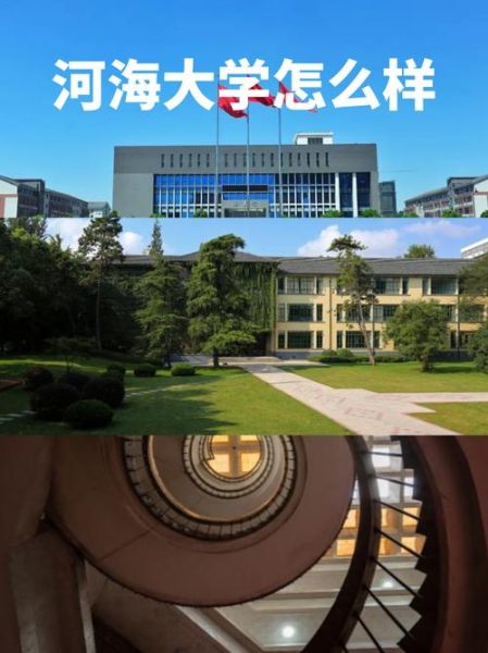河海大学校园信息门户怎么登录_河海大学门户忘记密码怎么办-第2张图片-星辰妙记