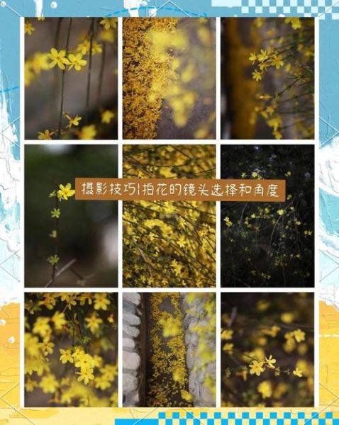 花卉镜头怎么选_微距镜头拍花技巧-第1张图片-星辰妙记