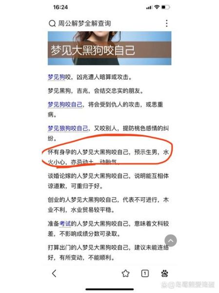 孕妇梦见开车刹不住车_胎梦预示什么-第1张图片-星辰妙记