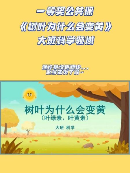 树叶为什么会变色_树叶的秘密有哪些-第3张图片-星辰妙记 树叶为什么会变色_树叶的秘密有哪些-第3张图片-星辰妙记