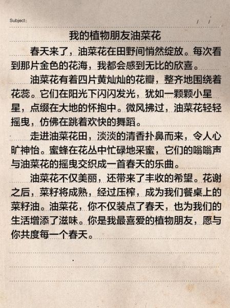 油菜花作文怎么写_油菜花描写技巧-第3张图片-星辰妙记