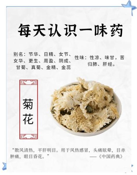 菊花孕妇能泡水喝吗_孕妇喝菊花茶禁忌-第3张图片-星辰妙记