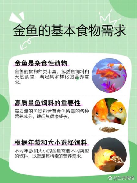 小金鱼怎么养_小金鱼吃什么食物-第1张图片-星辰妙记