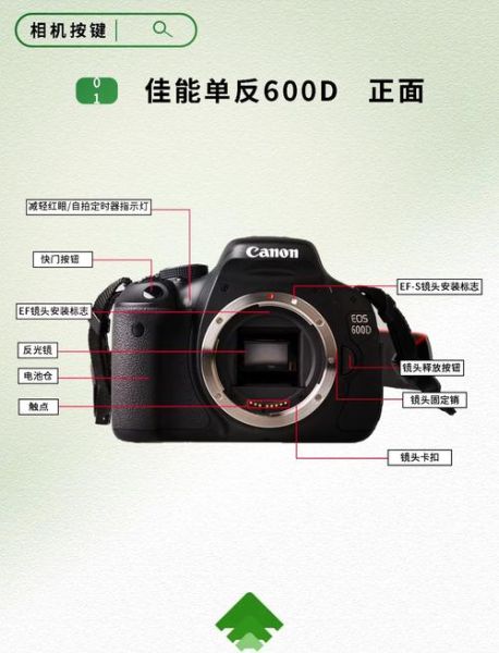 佳能600d镜头价格表_佳能600d配什么镜头性价比高-第1张图片-星辰妙记 佳能600d镜头价格表_佳能600d配什么镜头性价比高-第1张图片-星辰妙记
