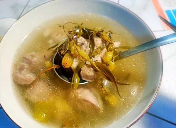 孕妇可以喝石橄榄汤吗_石橄榄汤对胎儿有影响吗-第1张图片-星辰妙记