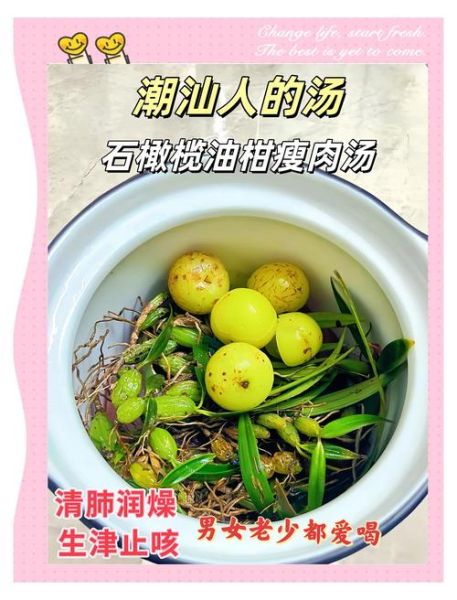 孕妇可以喝石橄榄汤吗_石橄榄汤对胎儿有影响吗-第3张图片-星辰妙记