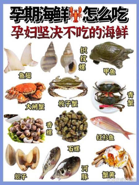孕妇可以吃哪些海鲜_孕妇吃海鲜安全吗-第1张图片-星辰妙记