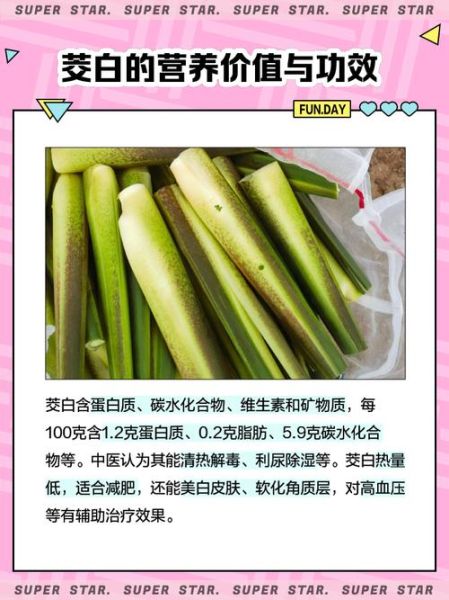 孕妇可以吃茭白吗_孕期吃茭白的好处与禁忌-第3张图片-星辰妙记