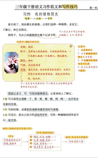 三年级作文怎么写_三年级作文写作技巧-第2张图片-星辰妙记 三年级作文怎么写_三年级作文写作技巧-第2张图片-星辰妙记