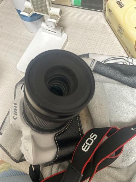 55-210镜头适合拍什么_55-210镜头画质怎么样-第2张图片-星辰妙记 55-210镜头适合拍什么_55-210镜头画质怎么样-第2张图片-星辰妙记